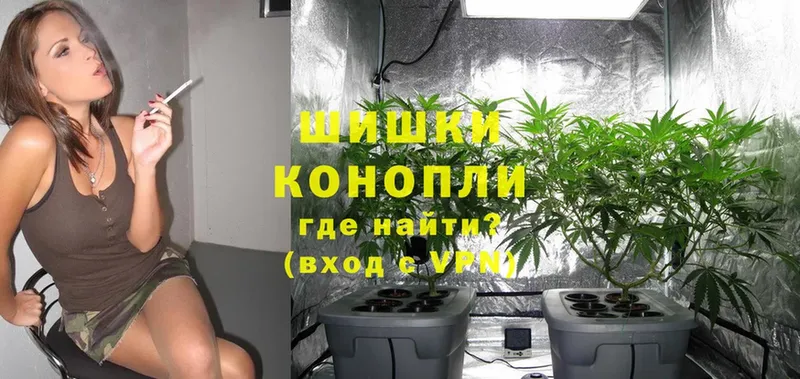 МЕГА как войти  наркотики  Дальнереченск  Каннабис OG Kush 